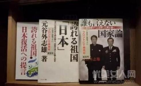  梅花档案续集秘密列车 2008年中国企业秘密死亡档案(五)