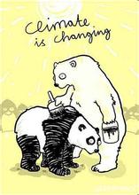  创业进化论：宁做北极熊，不做大熊猫