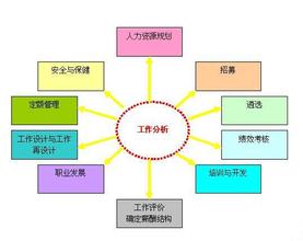  组织结构设计 工作分析