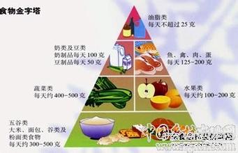  中国粮食安全问题 中国不会出现粮食安全问题