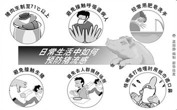  治疗猪流感 [焦点] 猪流感突袭