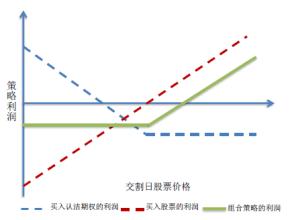  看涨期权 股票指数期权