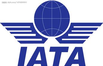  iata电子客票行程单 IATA