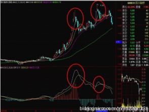  kdj指标 MACD指标