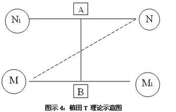  植田谦吉 植田T理论