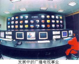  广播电视广告管理办法 广播电视节目传送业务管理办法