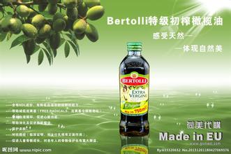  橄榄油和茶油哪个好 茶油，中国的橄榄油？