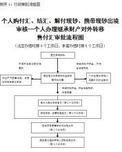  对外付汇 资本金 个人财产对外转移售付汇管理暂行办法