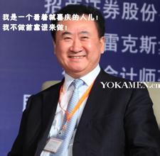  亿舟财富 王健林：2009胡润百富榜第9名 财富290亿
