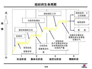  组织生命周期举例 生命周期与组织变革