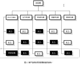  学生活动的组织方式 组织的新方式