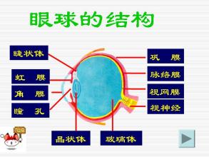  第49节：识别支配事件的模式(6)