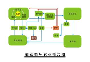  第28节：在给定环境条件下经济生活的循环流转(4)