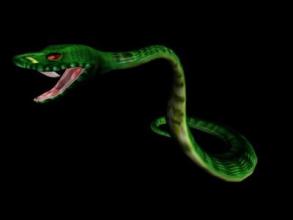  第152节：毒蛇(3)