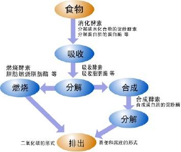  人口危局 第53节：第四章 危局下的‘新陈代谢‘(8)