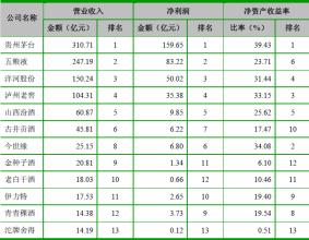  吉大正元行业内排名 行业内排名