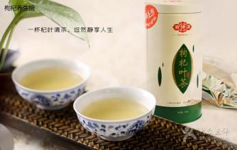  促进骨头愈合的保健品 枸杞叶茶—促进保健功能的茶经济