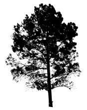  第22节：第二章发现模式：学会见树也见林(9)