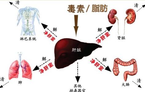  第13节：实战练习：如何突破级别的障碍(1)