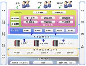  切实发挥先锋模范作用 切实发挥审计“免疫系统”作用