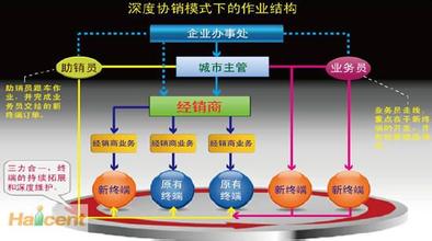  成就游泳冠军 三力合一，成就冠军企业