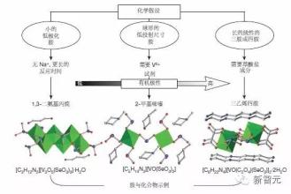  有效的假设：科学研究的前提