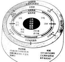  主体间性：个体与群体