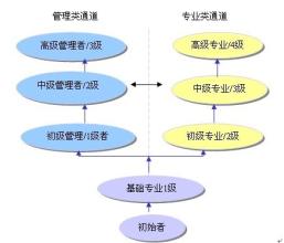  员工职业生涯规划设计 员工的职业生涯设计(2)