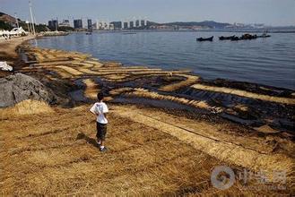  卫浴出口北美市场特点 中兴出口北美或搁浅