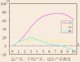  马克思主义产权理论 马克思与科斯产权理论的区别