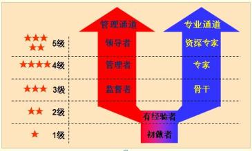  华为的五级双通道模型 职业发展 “五级双通道”