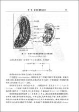  公共经济学课程综述 超微宏经济学——“后理论经济学”综述（十六）