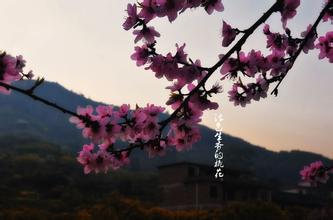  让生如夏花之绚烂 《心灵桃花源》第三篇　像蝴蝶一样生活——使生如夏花之绚烂