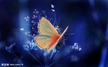  桃花源的生活 《心灵桃花源》第三篇　像蝴蝶一样生活——像蝴蝶一样生活（3）