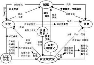  现代农业理论与实践 关于现代农业发展的两个理论问题