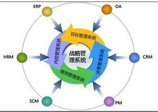  绩效提升计划 以战略绩效为主线，提升中国企业战略执行(10)