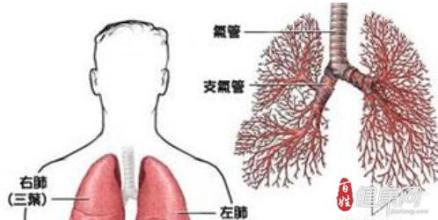  国剧盛典的奖份量 医改的份量有多大？