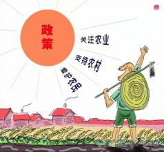  农村集体经济组织实行 开创农村新集体主义市场经济模式