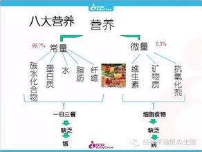  脑科学未来发展趋势 纵论科学营养发展趋势