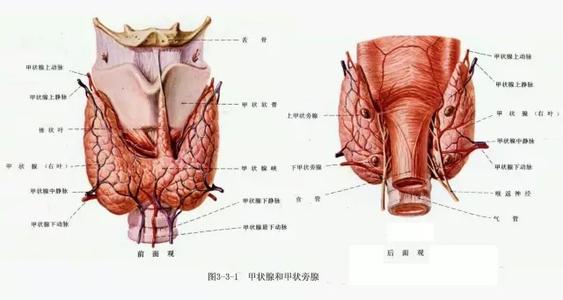  正反馈电路 经济体中的正反馈