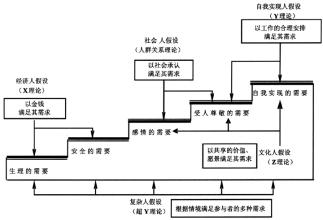  什么是管理理论丛林 管理理论丛林