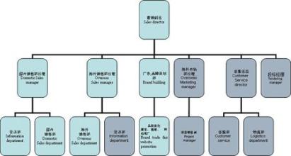  销售部门组织结构图 销售组织设计与部门沟通