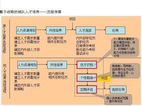  人才培养计划名称 针对性的人才培养计划