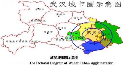  国内外形势分析 武汉城市圈工业化阶段的判析及国内外比较