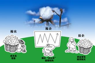  我国棉花产业面临的三大困境3:产业数据误差大
