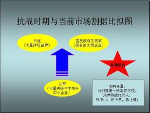  企业战略突围 割据战略——危机下品牌突围之道