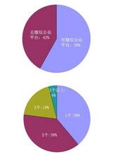  如何撰写开题报告 如何撰写市场营销状况分析报告——附光盘市场营销状况分析报告