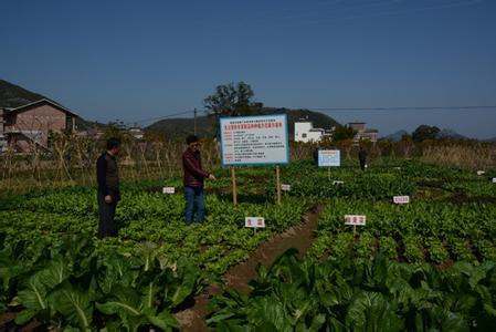  祁县农业种植模式 农业种植模式的探索