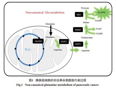  莺莺燕燕春春 莺莺还是那个莺莺，调控还是那个调控