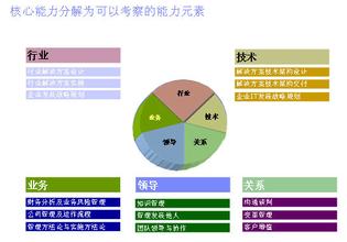  副总经理胜任能力模型 项目经理职业生涯和胜任能力模型应用1